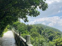 -梧桐山风景名胜区