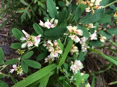 -碓臼峪自然风景区