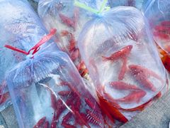 -华声天桥民俗文化园