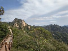 -大岭沟猕猴桃谷风景区