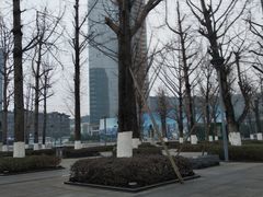 -两江幸福广场