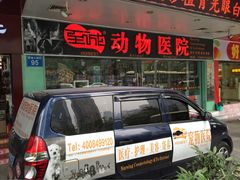 -瑞派动物医院·猫专科·至诚(江南中分院)