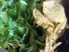 -探窝·竹笙椰子鸡(杨箕店)