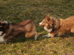 -贡湖湾湿地公园