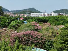 -史努比缤纷世界