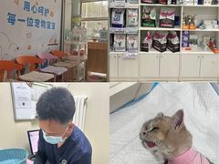 -纳吉亚猫专科动物医院博雅分院