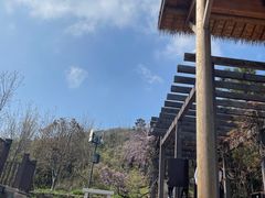 -缥缈峰景区