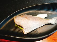 精品大耗儿鱼-莽子老火锅(大坪店)