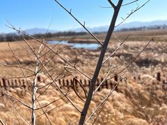 -野鸭湖国家湿地公园