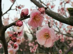 -江南大学(蠡湖校区)