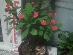 -复兴门(地铁站)