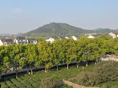 -树山生态村