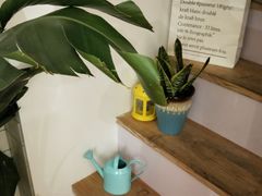 -白日梦奶茶