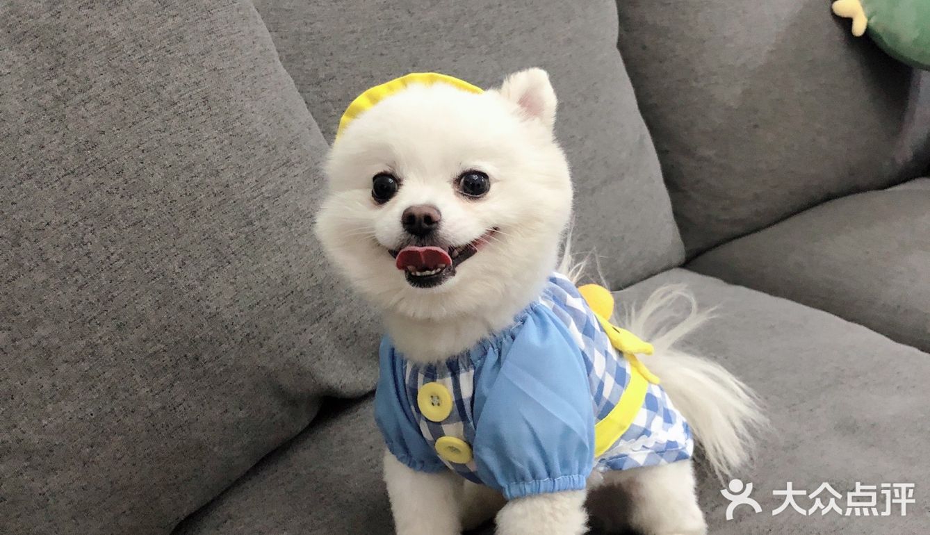 带帽子的小可爱