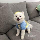 带帽子的小可爱