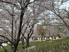 -苏州上方山国家森林公园