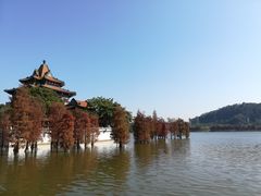 -顺峰山公园