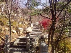 -崂山巨峰游览区
