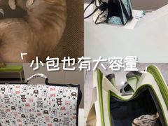-瑞鹏宠物医院·骨外科·心肾科·肿瘤科(九亭店)