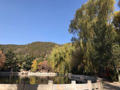 -晋祠公园