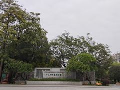 -王借岗森林公园