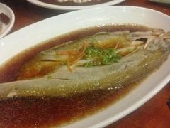 白鱼-西新饭店(城中店)