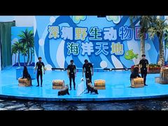 -深圳野生动物园