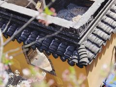 -苏州上方山国家森林公园