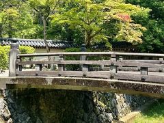 -西芳寺(苔寺)