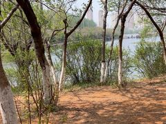 -前关湿地公园