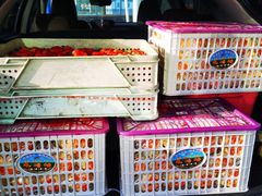 -西郊国际农产品交易中心