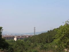 -原山国家森林公园