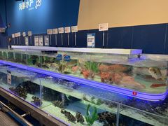 -盒马X会员店(上海森兰商都店)