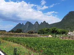 -万峰林风景区