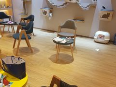 -Pets First伊珊娜洗护·精致美容·家庭式寄养(新会路店)
