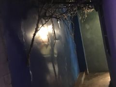 -甲大帅·甲鱼·椰子鸡主题餐厅(唐家店)