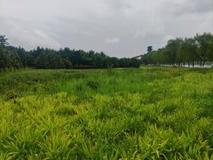 -咸阳湖景区