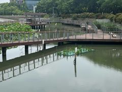 -昆山城市公园