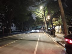 -长洲岛