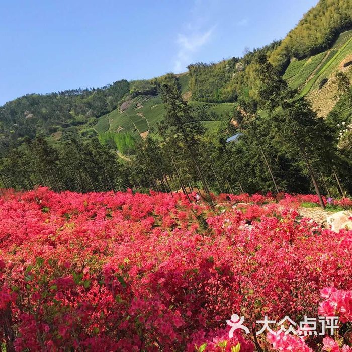 城山沟桃源山庄