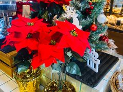 -Dough&Joe团憩(瑞虹天地月亮湾店)