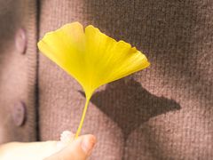 -大蜀山国家森林公园