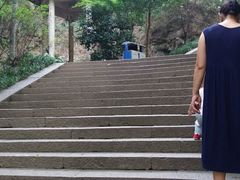 -峙山公园