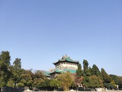 -武汉大学-樱园