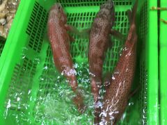 -都斛海鲜街