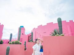 -漳州滨海火山岛自然生态风景区