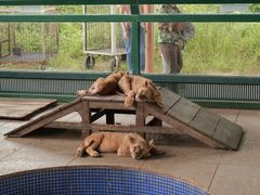 -秦皇岛野生动物园