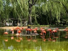 -石家庄市动物园