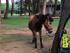 -Club Med地中海俱乐部·桂林度假村