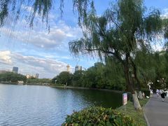 -艾溪湖湿地公园